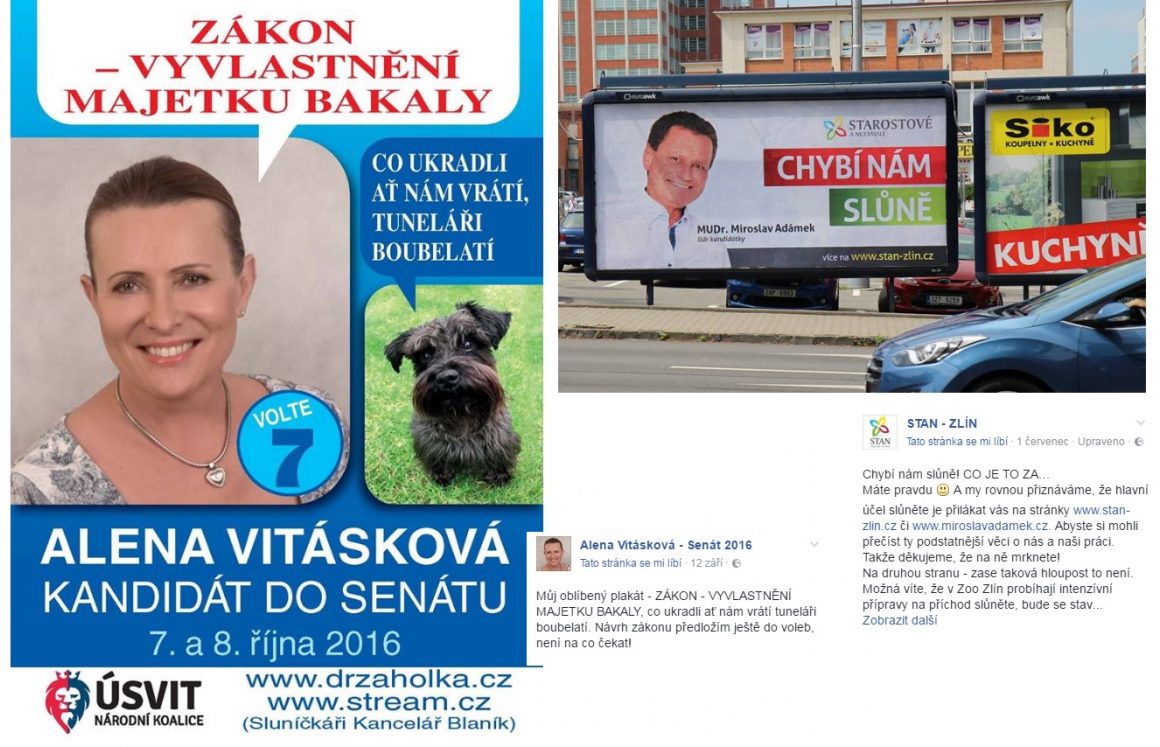 alena_vitskova_billboard_facebook